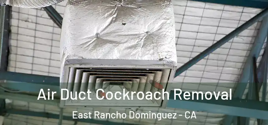  Air Duct Cockroach Removal East Rancho Dominguez - CA