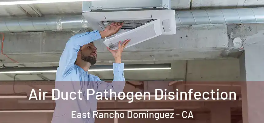  Air Duct Pathogen Disinfection East Rancho Dominguez - CA