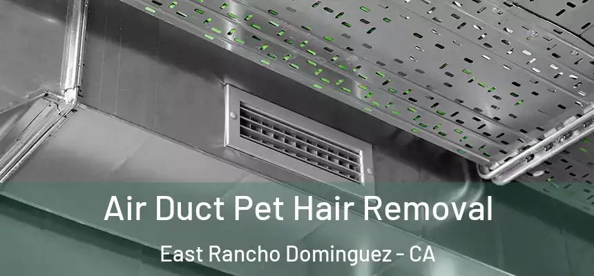  Air Duct Pet Hair Removal East Rancho Dominguez - CA