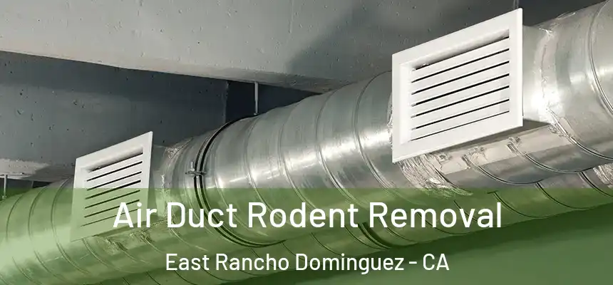  Air Duct Rodent Removal East Rancho Dominguez - CA