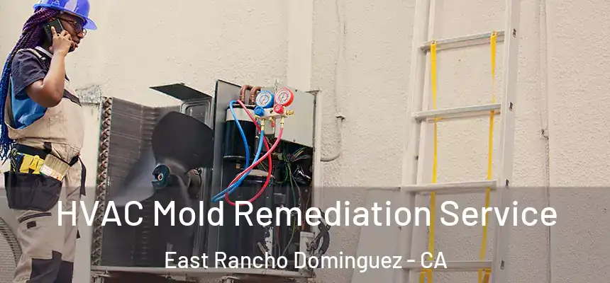  HVAC Mold Remediation Service East Rancho Dominguez - CA