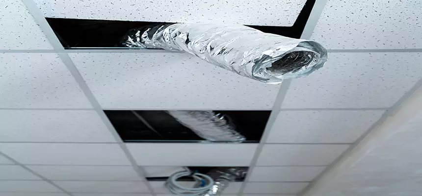 Affordable HVAC Sanitizing After Pest Removal in East Rancho Dominguez