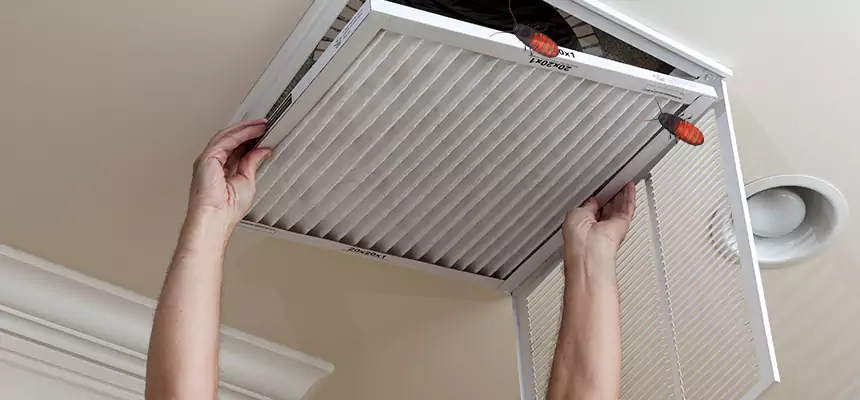 Our Insect Removal from Air Ducts Services in East Rancho Dominguez, CA