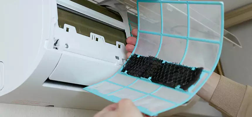 Gentle Ductwork Odor-Control Pet Dander Duct Cleaning in East Rancho Dominguez, CA