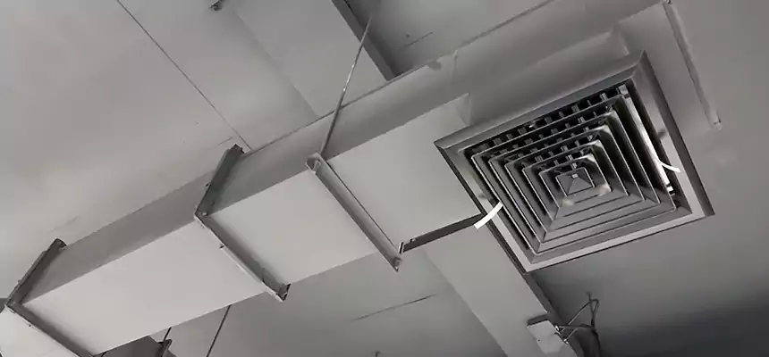 Our Rodent Droppings In Vents Services in East Rancho Dominguez, CA