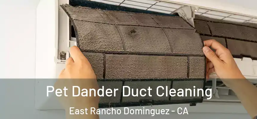  Pet Dander Duct Cleaning East Rancho Dominguez - CA