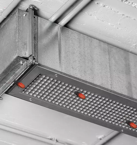 About Air Duct Cockroach Removal in East Rancho Dominguez, CA