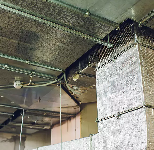 Why Homeowners & Businesses Trust Us in East Rancho Dominguez, CA?